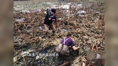 二虎和苏木吃瓜视频全集,笑料百出,全程回顾