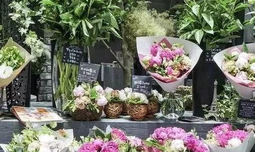 花店吃瓜的视频大全,视频大全带你领略花店里的欢乐时光