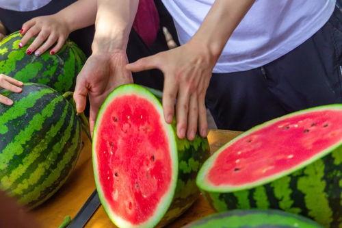 西瓜视频吃瓜入口免费观看,吃瓜入口,免费畅享精彩瞬间