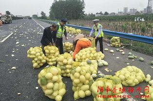 葡萄园吃瓜群众视频,揭秘吃瓜群众的欢乐时光