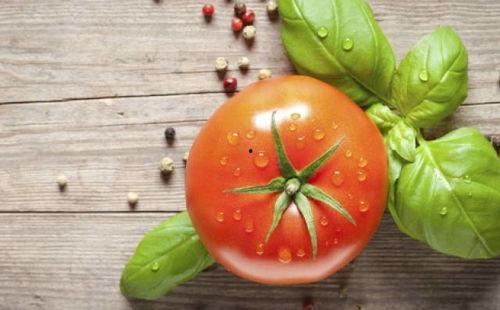 番茄吃瓜搞笑视频,笑料横生,搞笑视频带你欢乐一整天