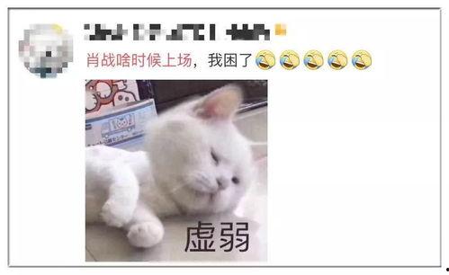 情侣吃瓜段子视频大全,甜蜜互动中的欢乐瞬间