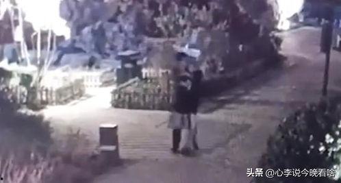 延安万达吃瓜事件视频,一场引发热议的网络风波