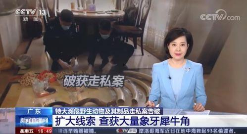 吃喀秋莎酸瓜视频大全在线观看,酸爽滋味,尽享视觉盛宴