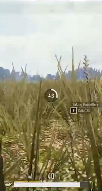 麦田老公吃瓜视频播放