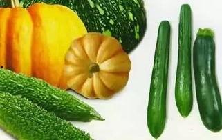 济宁微山吃瓜事件视频,一场引发热议的网络视频风波