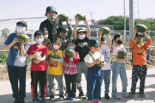 上海二中老师吃瓜视频,校园生活新视角