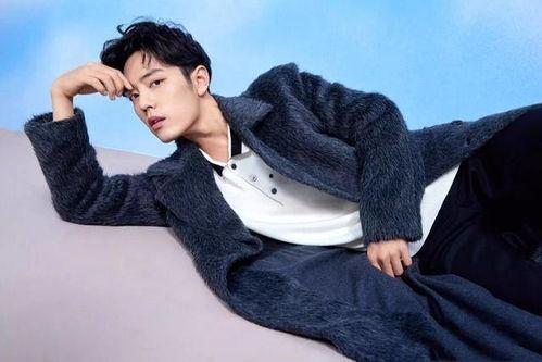 肖战开心吃瓜视频合集,趣味视频合集大放送